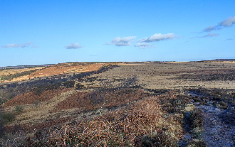 Big Moor Big Moor